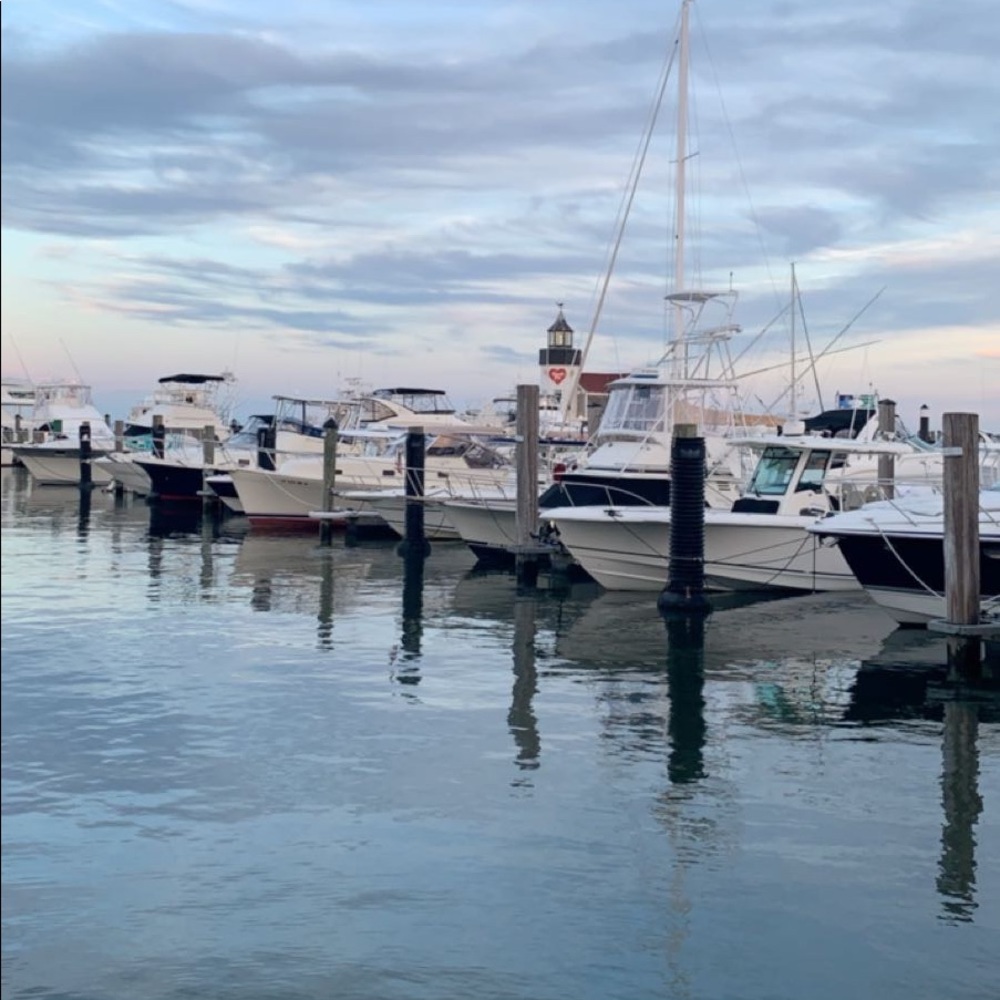 Meet your Posher, Alana